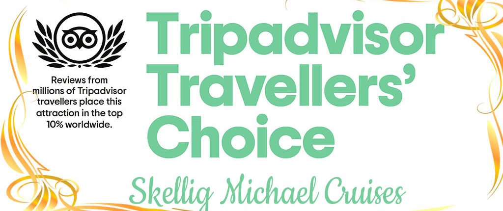 TripAdvisor Award